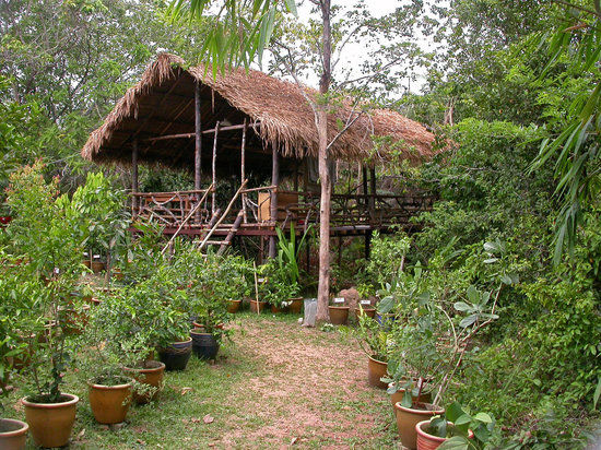 Herbwalk in Langkawi